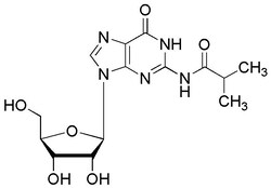 Chem-Impex International, Inc. N2-Isobutyrylguanosine | 64350-24-9 | MFCD00274102