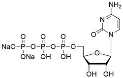 Chem-Impex International, Inc.&nbsp;Cytidine-5'-triphosphate disodium salt | MFCD00078193 | 5G