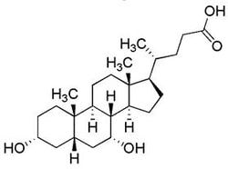 Chem-Impex International, Inc. Biotin-N-hydroxysuccinimide | 35013-72-0 | MFCD00078531 | 1G