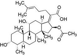 Chem-Impex International, Inc. Fmoc-L-glutamine | 71989-20-3 | MFCD00037137