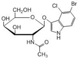 Carbosynth LLC. X-BETA-D-GALNAC >98%, Quantity: Each of 1