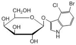Carbosynth LLC. X-GAL 99%(100G)