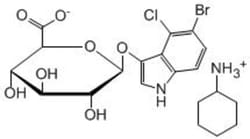 Carbosynth LLC. X-GLUC(10G), Quantity: Each of 1