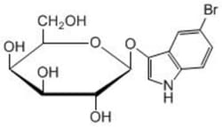 Carbosynth LLC. 5-BR-3-IND-BD-GAL(1G), Quantity: Each of 1