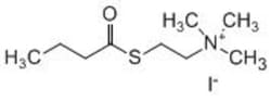 Carbosynth LLC. S-BUTYRYLTHIOCHOLINE IOD(10G), Quantity: Each of 1