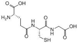 Carbosynth LLC. L-GLUTATHIONE, REDUCED(250G), Quantity: Each of 1