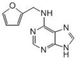 Carbosynth LLC. KINETIN(50G), Quantity: Each of 1