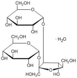Carbosynth LLC. D-MELEZITOSE H2O(100G), Quantity: Each of 1