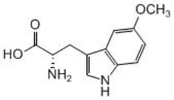 Carbosynth LLC.&nbsp;H-5-OME-L-TRP-OH(0.5G)