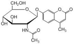 Carbosynth LLC. 4-MU-BETA-D-GLCNAC (0.5G), Quantity: Each of 1