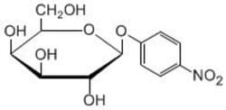 Carbosynth LLC. PNP-BETA-D-GAL >99%, Quantity: Each of 1