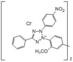 Carbosynth LLC. NITROTETRAZOLIUM BLUE CL(10G), Quantity: Each of 1