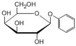Carbosynth LLC. PH-BETA-D-GAL >99%, Quantity: Each of 1