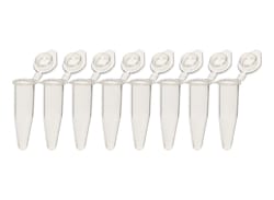 TWD Scientific LLC Pcr Tube & Cap, Twdbiox, 0.2Ml, Polypropylene, Thin Wall Tube, Flat Top Cap, Strips Of 8, 1200/Case.