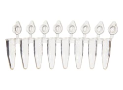 TWD Scientific LLC Pcr Tube & Cap, Twdbiox, 0.2Ml, Polypropylene, Thin Wall Tube, Clear Flat Top Cap, Strips Of 8, 1200/Case.