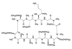 Enzo Life Sciences&nbsp;Cyclosporin A, (100mg), CAS Number: 59865-13-3