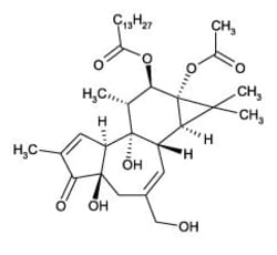 Enzo Life Sciences&nbsp;Phorbol 12-myristate 13-acetate, (1mg), CAS Number: 16561-29-8