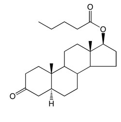 Steraloids Inc 5α-Androstan-17β-ol-3-one Valerate, 50mg, Quantity: Each
