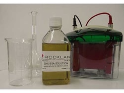 Rockland Immunochemicals BOVINE SERUM ALBUMIN 30% Solution - BSA-30, Quantity: