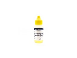 Biocare Medical, LLC 4plus Biotinylated Goat Anti-Rabbit IgG (Mouse and
