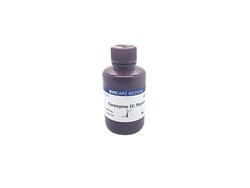 Biocare Medical, LLC&nbsp;Carezyme II: Pepsin - 100 ml