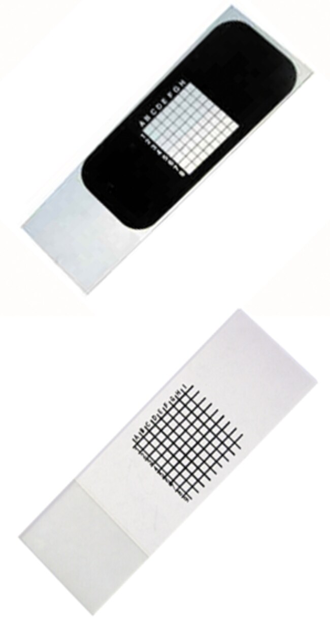 LabScientific Grid Slides without black background, 72/pk Fisher