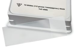 LabScientific Poly-L-Lysine coated adhesive microscope slides. 1"X3", 1mm