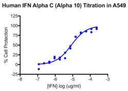 PBL Assay Science Human Interferon Alpha C (IFN-Alpha 10) [1e5 (100,000) units/vial]