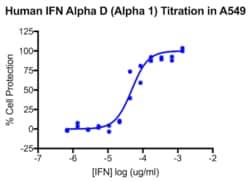 PBL Assay Science Human Interferon Alpha D (IFN-Alpha 1) [1e5 (100,000)