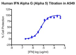 PBL Assay Science Human Interferon Alpha G (IFN-Alpha 5) [1e5 (100,000) units/vial]