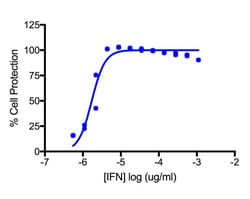 PBL Assay Science Recombinant Human Interferon-Alpha H2 (Alpha 14), Gene Interferon-A14