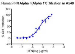 PBL Assay Science Human Interferon Alpha I (IFN-Alpha 17) [1e5 (100,000) units/vial]