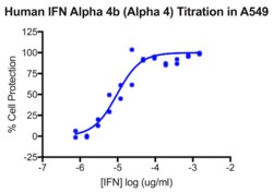 PBL Assay Science Human Interferon Alpha 4b (IFN-Alpha 4) [1e5 (100,000) units/vial]