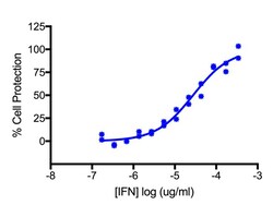 PBL Assay Science Recombinant Human Interferon-Alpha WA (Alpha 16), Gene Interferon-A16