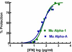 PBL Assay Science Mouse Interferon Alpha 1 (IFN-Alpha 1) [1e5 (100,000)