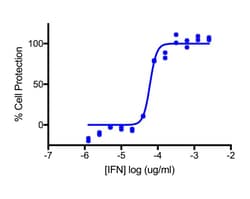 PBL Assay Science Recombinant Rat Interferon Alpha 1 expressed in mammalian cells