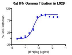 PBL Assay Science Rat Interferon Gamma (IFN-Gamma, IFNg) [10 micrograms (ug)]