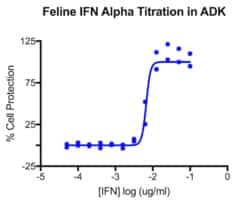 PBL Assay Science Feline Interferon Alpha (IFN-Alpha, IFNa) [1e5 (100,000) units/vial]