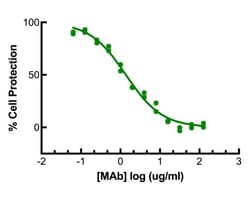 PBL Assay Science Anti-Human Interleukin-28A/Interferon Lambda 2, neutralizing, Clone MMHL-2 (MAb)