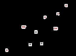U.S. Pharmacopeia Hydrocortisone Acetate | 50-03-3 | MFCD00037714 | 200