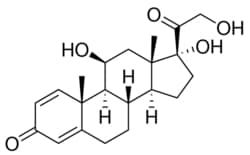 U.S. Pharmacopeia prednisolone | 50-24-8 | 360.4 g/mol | 200MG, Quantity: