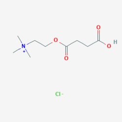 U.S. Pharmacopeia Succinylmonocholine chloride, 5297-17-6, MFCD00080728,