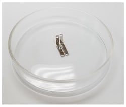 Protech International Inc Platinum Plate Petridish Electrode, 1mm Gap x 15mm Length