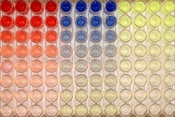 Seracare Life Sciences Inc SureBlue TMB 1-Component Microwell Peroxidase