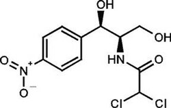 Gold Biotechnology Inc Chloramphenicol, USP Grade 100 g, Quantity: Each