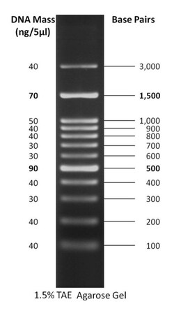 Gold Biotechnology Inc 100 bp PLUS DNA Ladder 500 µL, Quantity: Each of