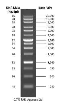 Gold Biotechnology Inc 1 kb PLUS DNA Ladder 500 µL, Quantity: Each of 1