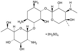 Gold Biotechnology Inc&nbsp;G-418 Sulfate 25 g