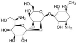 Gold Biotechnology Inc Hygromycin B 10 g