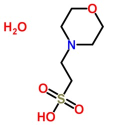 Gold Biotechnology Inc MES Free Acid Monohydrate, Ultra Pure 100 g, Quantity: